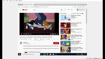 Tom and Jerry Has Bsod