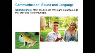 Biology Lecture 9 4H   Communication Sound and Language