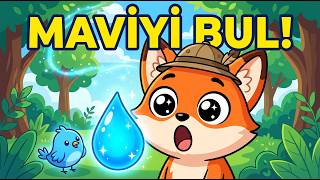 Mavi Rengi Biliyor Musun? | Sihirli Orman Kids