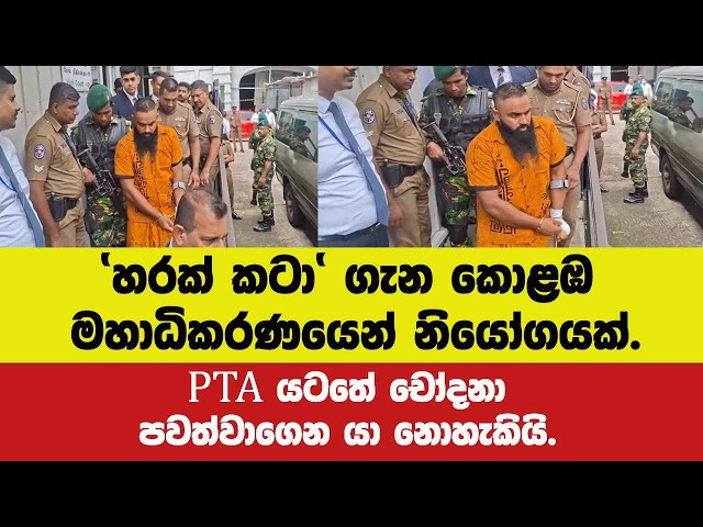 'හරක් කටා' ගැන කොළඹ මහාධිකරණයෙන් නියෝගයක්.PTA යටතේ චෝදනා පවත්වාගෙන යා නොහැකියි.