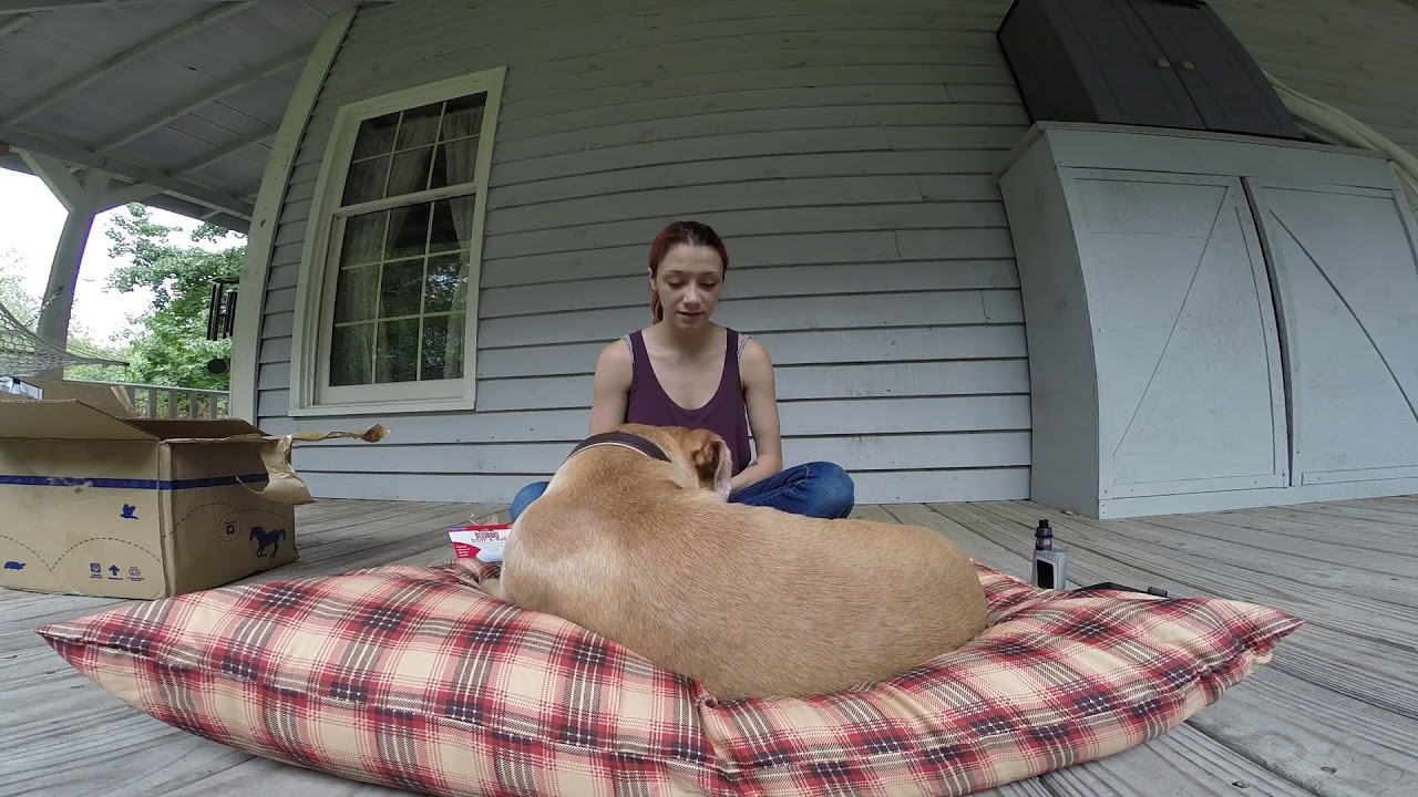 Unboxing From Entirely Pets