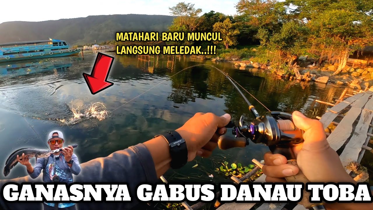 CASTING GABUS DI DANAU TOBA ‼️ LANGSUNG DIHAJAR GABUS LAPAR SAAT MATAHARI BARU TERBIT