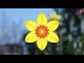 Dydd Gŵyl Dewi Hapus! Happy St David's Day