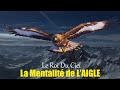 La mentalit de laigle  les 7 caractristiques qui font de lui un roi  motivation  voix fr