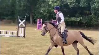 Pocket Rocket SJ Pony - ad ref: 289840