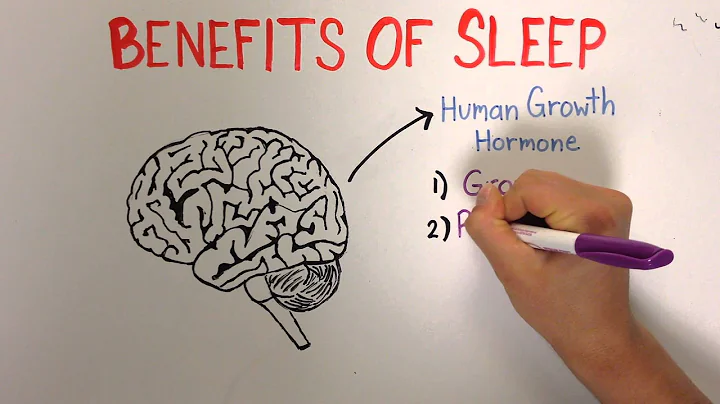 Sleep 1: Importance and Benefits of Sleep