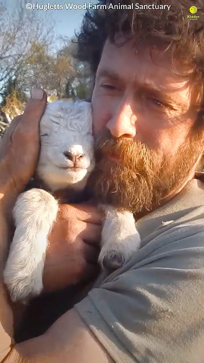 Animals teach us love ❤️