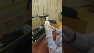 Dollshe Fashion Diana Box Opening