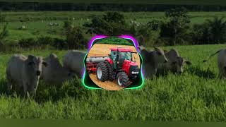 Download Lagu Léo & Raphael - AGRO É TOP 🤠❤ Download Lagu Léo & Raphael - AGRO É TOP 🤠❤