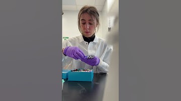 Here’s why I didn’t pursue a PhD ￼#biotech #phd #stem #phdproblems #academia #industry #scientist