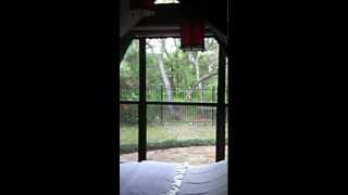 Therapy Room in Austin Texas - Inner Peace