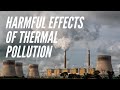 Harmful Effects Of Thermal Pollution