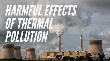 Harmful Effects Of Thermal Pollution