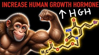How to Increase Human Growth Hormone | Explained by Mighty Monkey