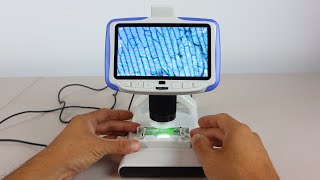 Andonstar Digital Microscope Wlcd Screen And Hd Camera Review
