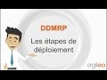 Ddmrp  dcouvrez les 5 tapes de dploiement