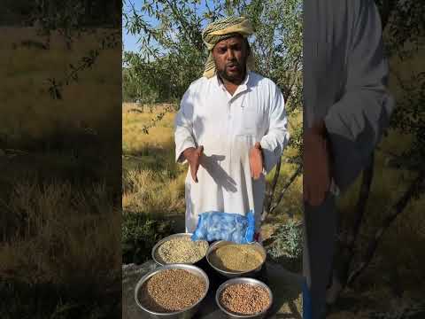 متجر محمد الحشري