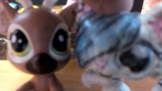 Знакомство С Alina Wow