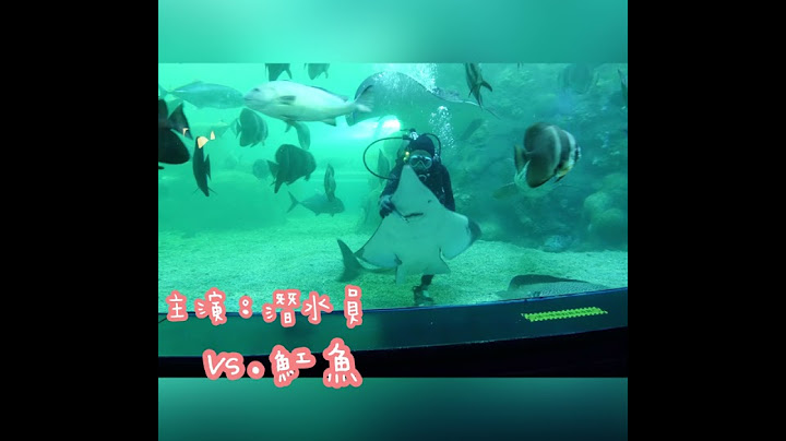 澎湖水族館kkday