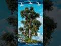 Love Trees... Photo by Howard Fuhrman📸 Hollywood Painter Metin Bereketli🎨🖌️
