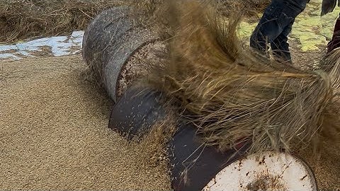 My First vlog #myfirstvlog #farming #viral 