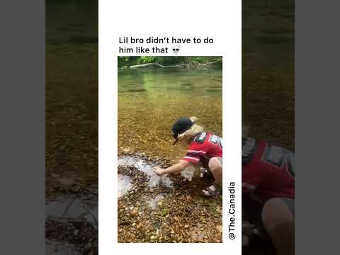 Lil bro dint have to do him like that #meme #memesdaily #memesvideo