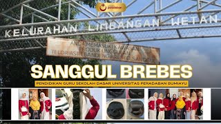 KERAJINAN SANGGUL BREBES | Ragam Unik Indonesia | Proyek KDBSI II | #pgsd Universitas Peradaban