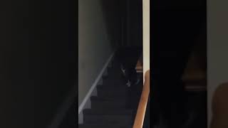 Poltergeist activity. #shorts #scary #poltergeist #creepy #real #paranormalactivity