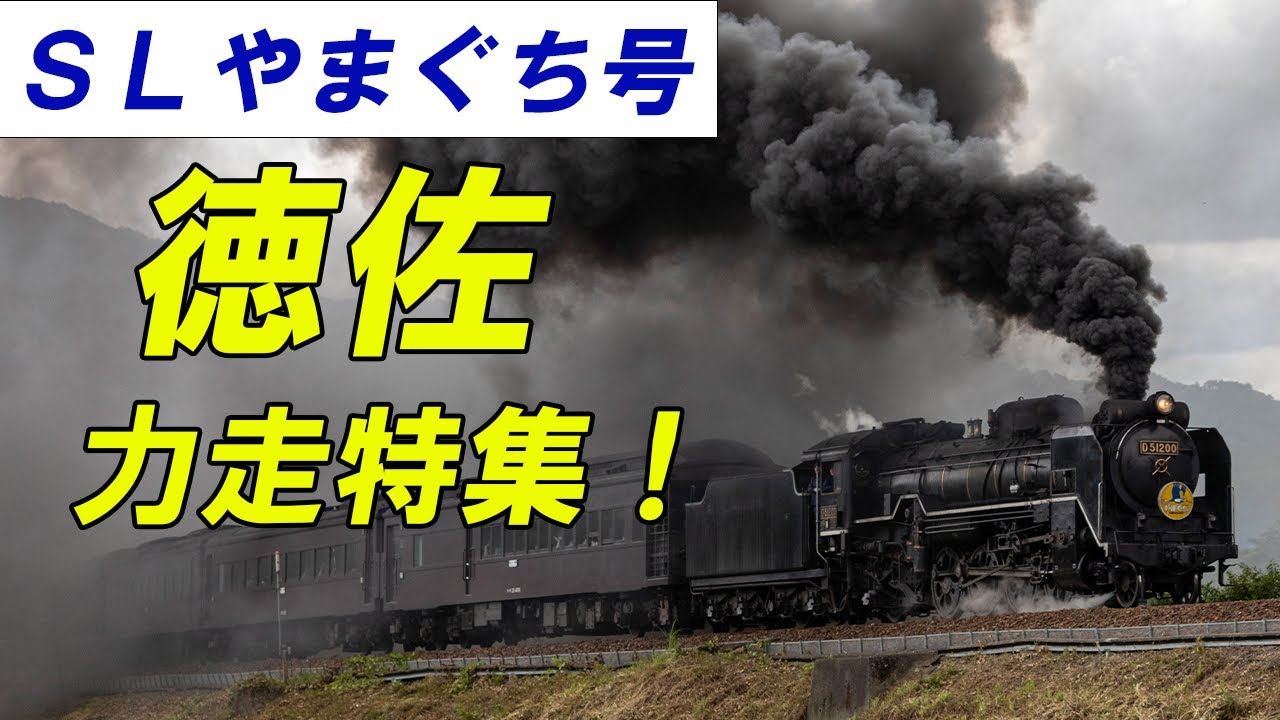 徳佐駅発車からＳ字、徳佐平野を力走するＤ５１！ 2024年特集 #train #slやまぐち号 #sl #蒸気機関車 #steamlocomotive #鉄道 #d51