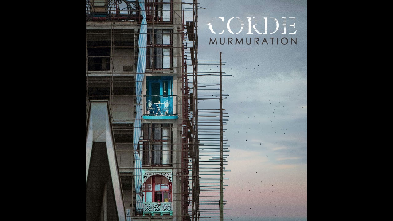 Assista a Murmuration // sortie 26.01.24 no YouTube Assista a Murmuration // sortie 26.01.24 no YouTube