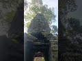 #face #stone.#gate #ancienthistory #buddhist #temple #mistery #walls