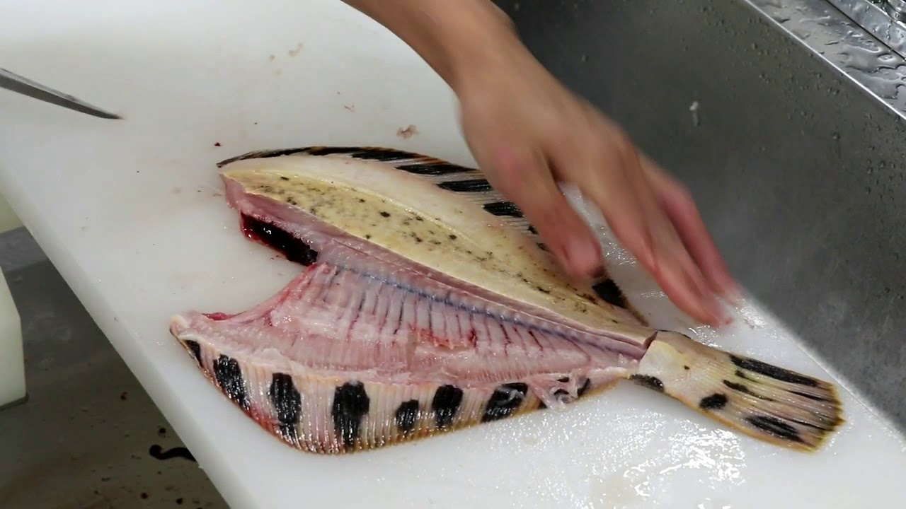 松川鰈のおろし方 Matsukawa Flounder Sushi Youtube
