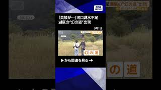 【ニュース】「貝殻が…」河口湖が水不足　湖底“幻の道”出現 #shorts