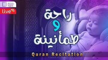 راحة نفسية 🎧 - طمأنينة 💚 - تهدئة الأعصاب 😴 | القارئ عبدالسلام رمضان