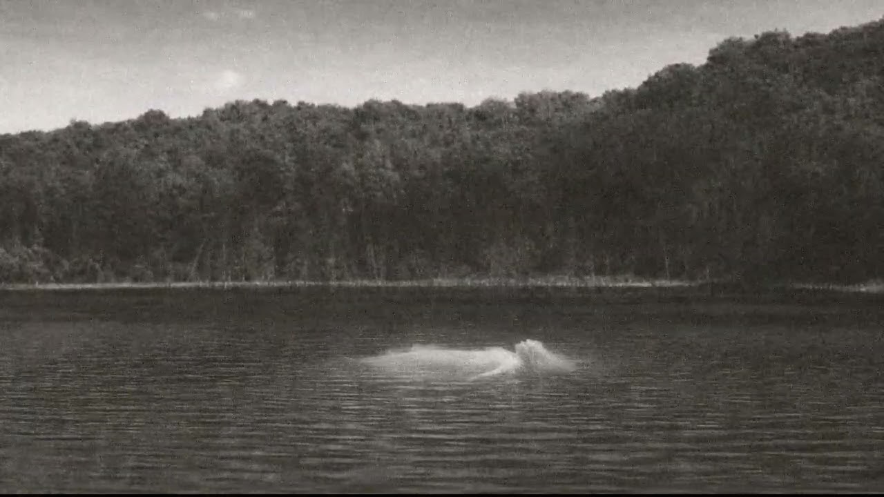 Mystikana - Lake in the Woods