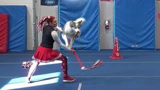 Dog Dance / Trick Training, over 40 dog tricks !!!