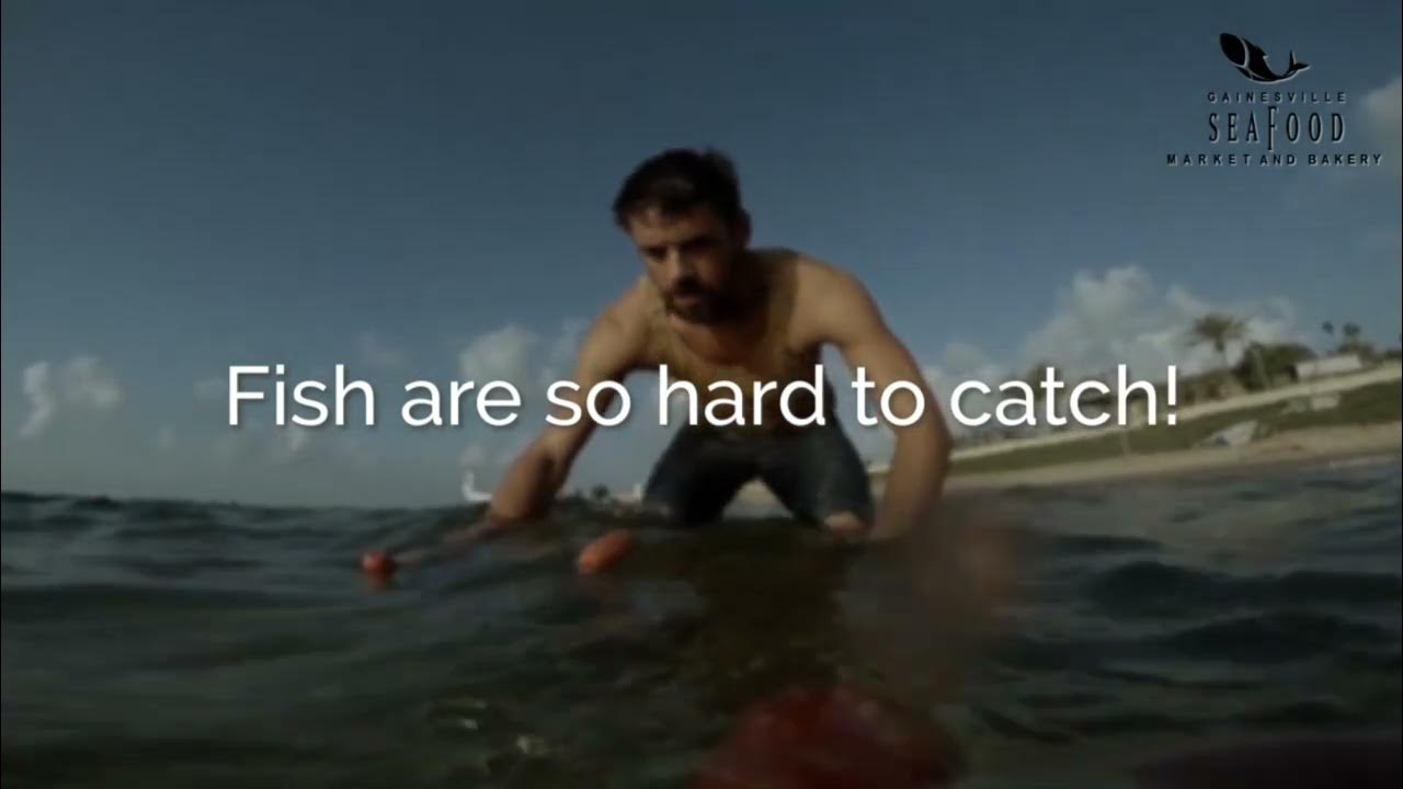 Fish so hard to catch YouTube