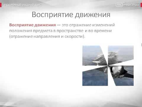 Психология урок 19 Виды восприятия