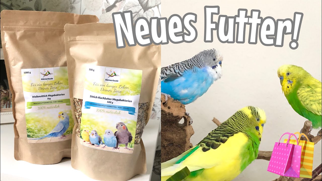 Neues Futter!😍 Spezialfutter für Megabakterien | Die Vogelfamilie
