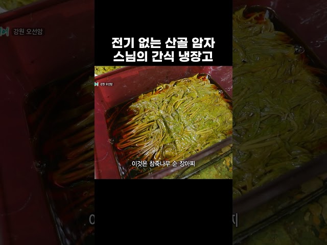 수행도 멈추고 계곡에서 밥 찾는 스님 #한국기행 #방방곡곡 #shorts