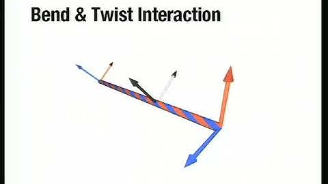 Discrete Elastic Rods