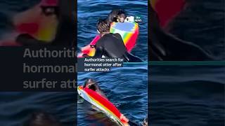 Otter bites surfboard and tries to swim off with it #itvnews #news #california #otter