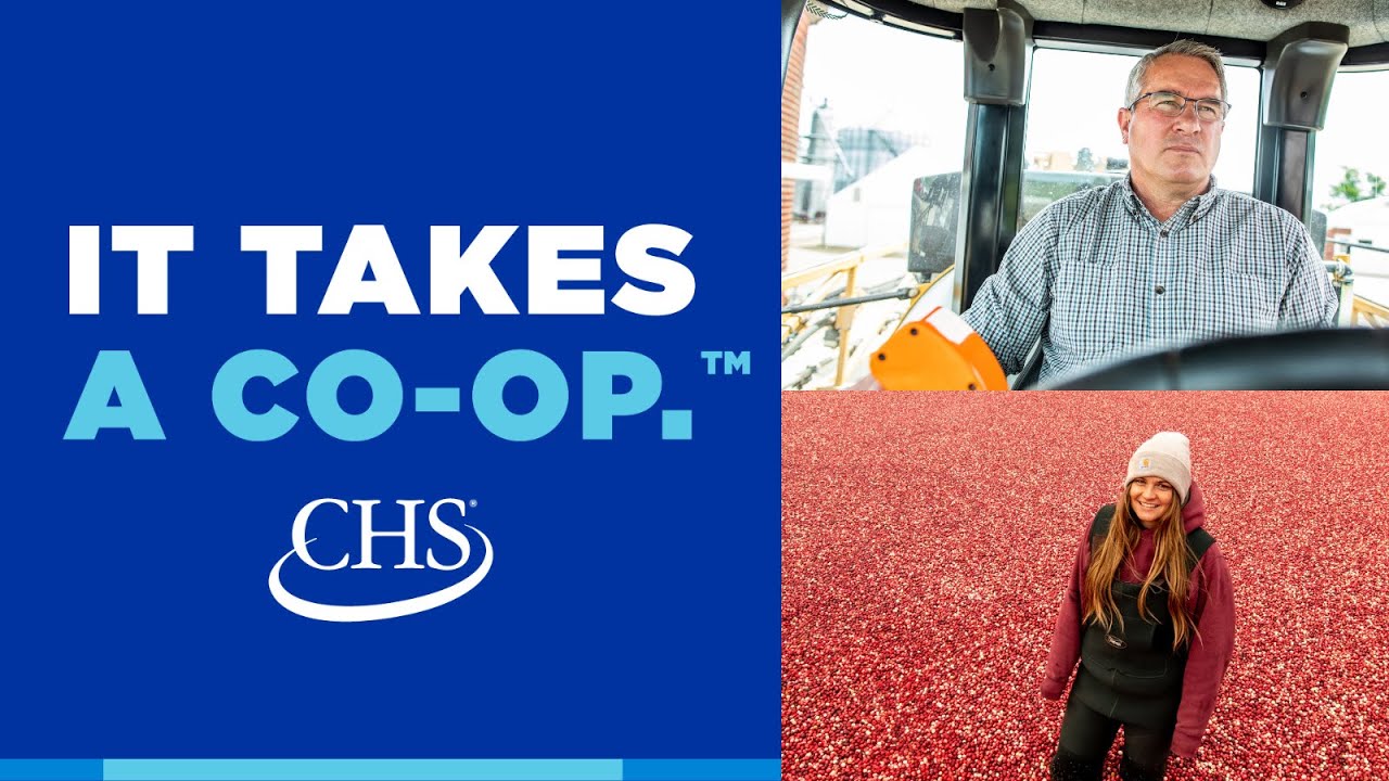 It Takes a Co-op: Ep. 1 - The impact of the cooperative system