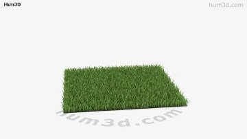 Grass 3D model by 3DModels.org