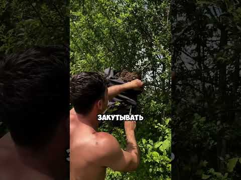 Такое мужество сейчас редкость 💪💪 #дача #садоводничество #shorts
