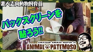 初めて金魚を飼う!!バックスクリーン編(ＡＲＴＩ６０ サンド) 【金魚・Goldfish】