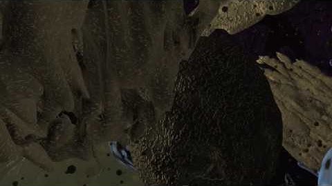 Cassiopeia Project - Code For Life   Chapter 2