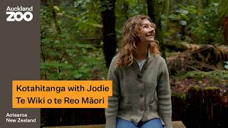 Kotahitanga with Jodie | Te Wiki o te Reo Māori