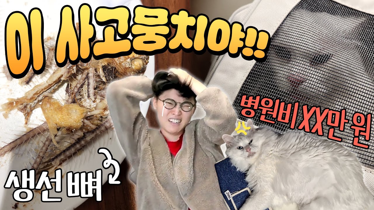 병철이가 추석 연휴에 거하게 사고쳤습니다...