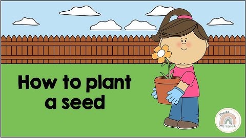 Teach Kids How to Plant a Seed | Procedure Writing & Literacy Skills